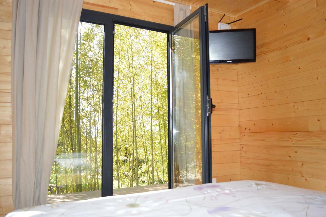 Bamboo Guest House Águeda Kültér fotó
